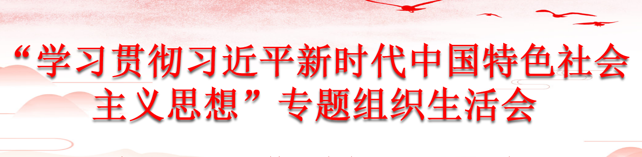 天信党建|民主评议促进步,求真务实谋发展——天信所党支部召开主题教育专题组织生活会(图1) 1-2405301Q359396.png